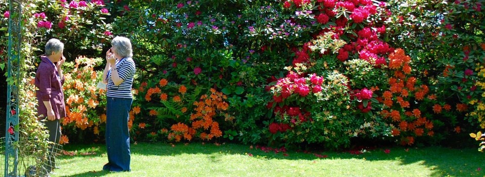 EFT tapping in garden